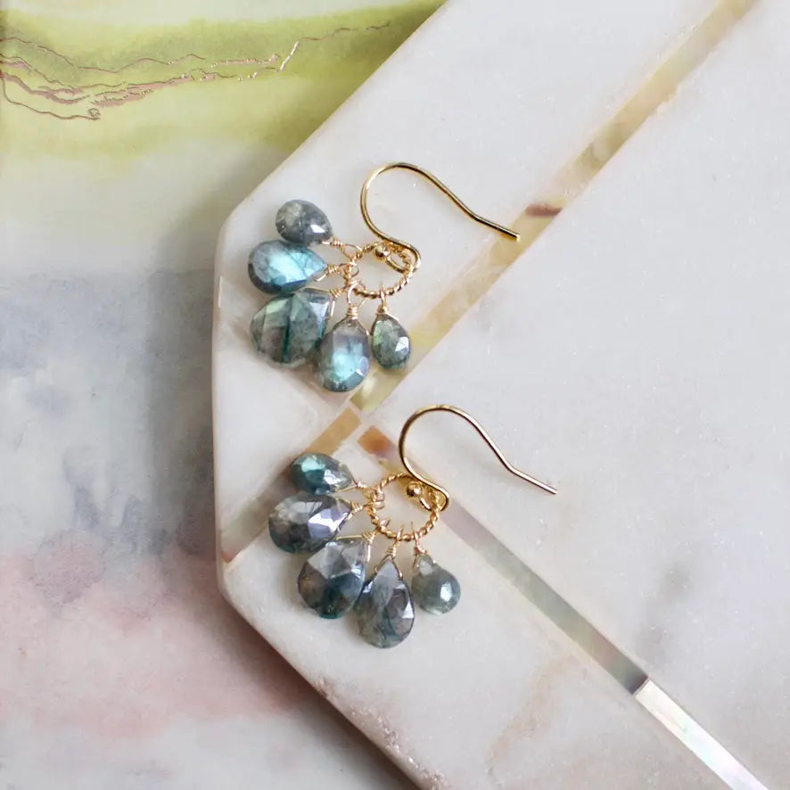 A.V. Max Semi Precious Cluster Earrings - Multiple Colors