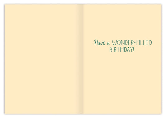 Biely & Shoaf Cards Clear Skies Birthday Card 29487070 Clear Skies Birthday Card