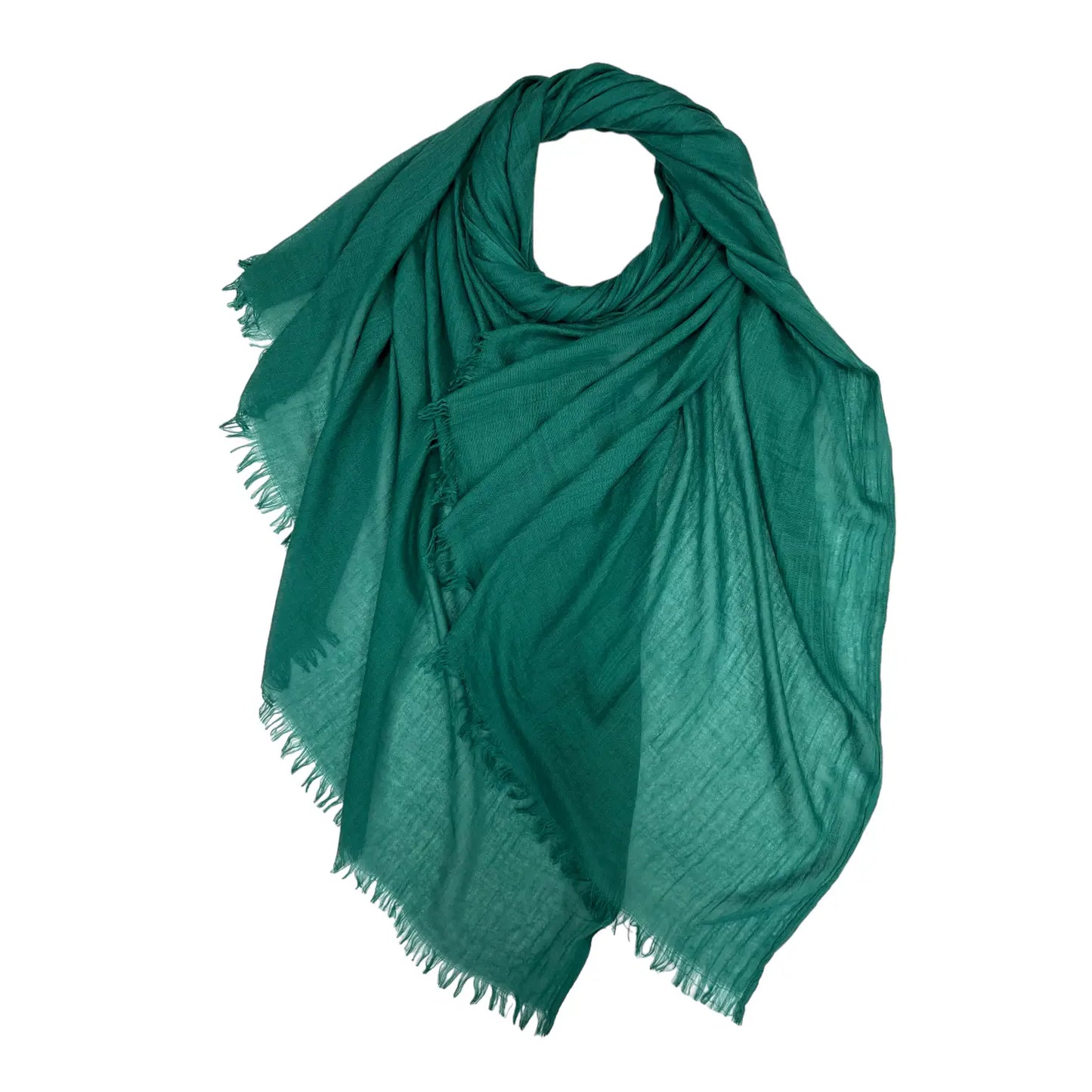 London Scarves Solid Fringe Lightweight Scarf - Multiple Colors