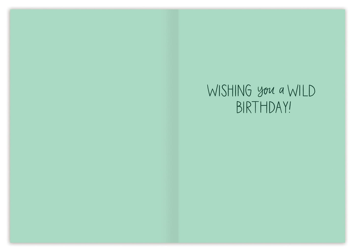 Biely & Shoaf Cards Great Adventure Birthday Card 44388574 Great Adventure Birthday Card