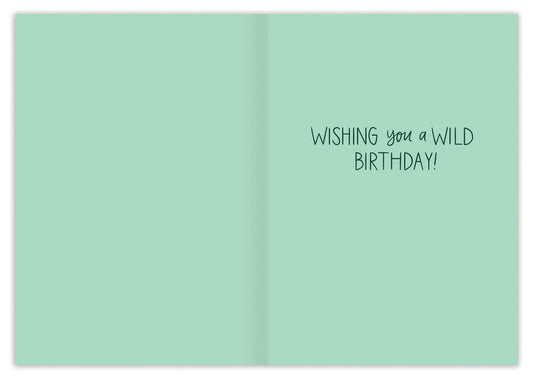 Biely & Shoaf Cards Great Adventure Birthday Card 44388574 Great Adventure Birthday Card