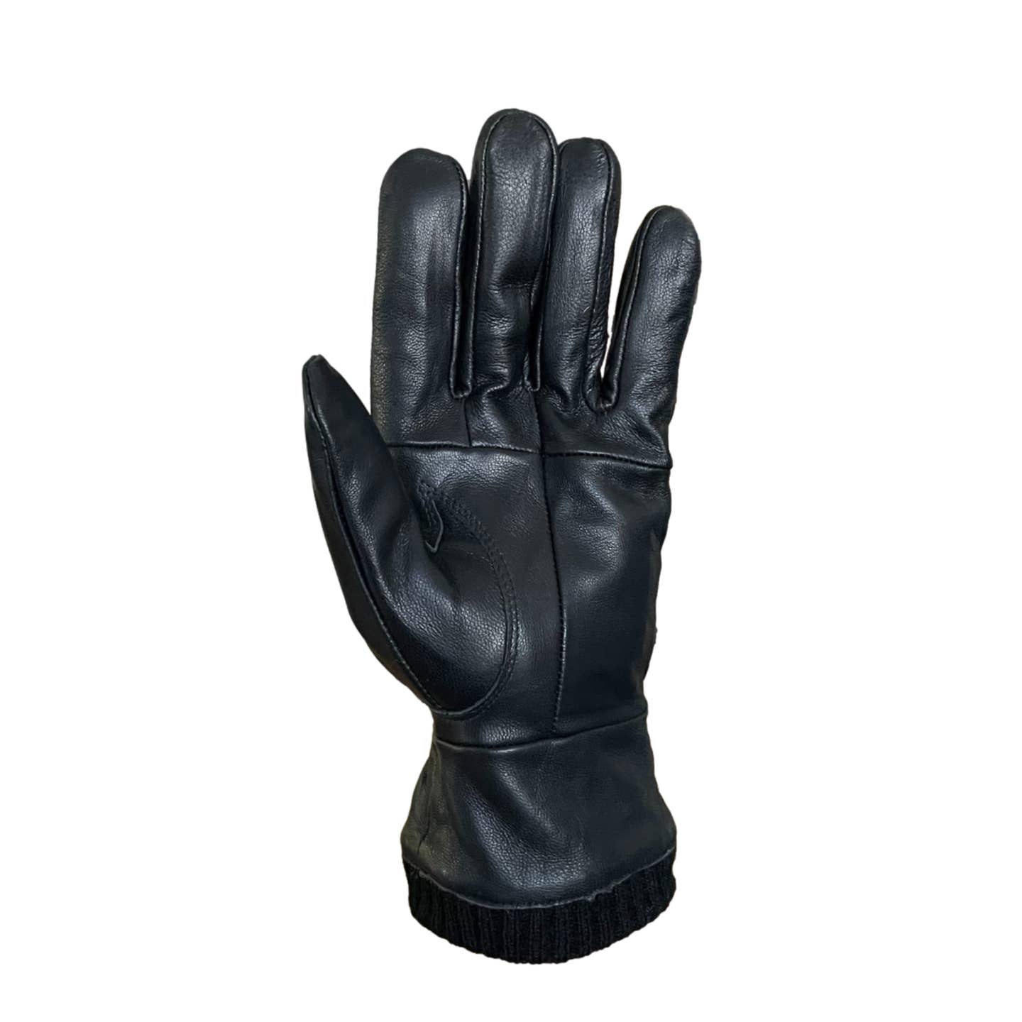 Sterling Lambskin Shearling Lined Gloves