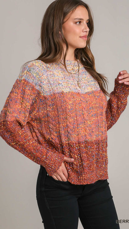 Umgee Colorblock Crew Neck Sweater