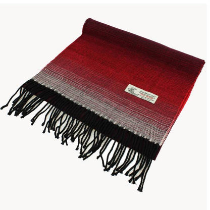 JTC Men's Ombre Scarf - Multiple Colors