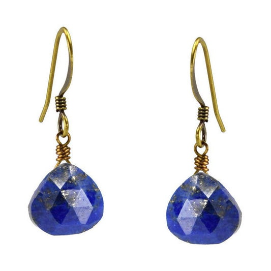 Edgy Petal Delicate Blue Lapis Simple Classic Earrings