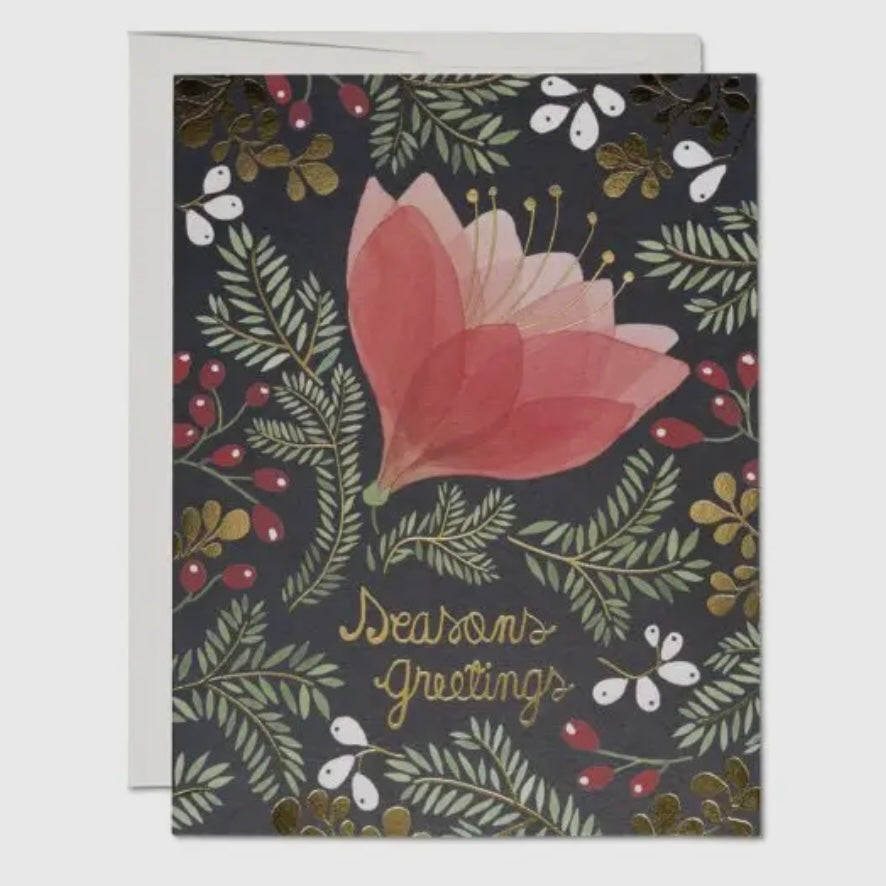 Amaryllis Holiday Greeting Card