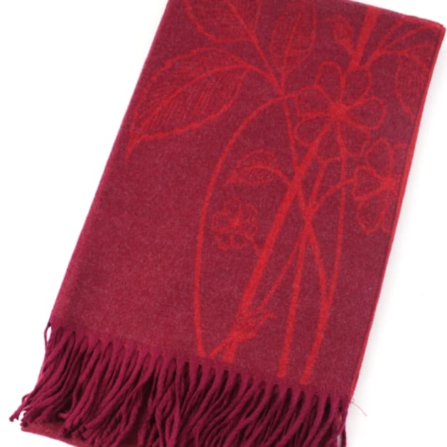 Pretty Persuasions Scarves Pretty Persuasions Botanical Sketch Reversible Scarf - Multiple Colors Pretty Persuasions Botanical Sketch Reversible Scarf - Multiple Colors