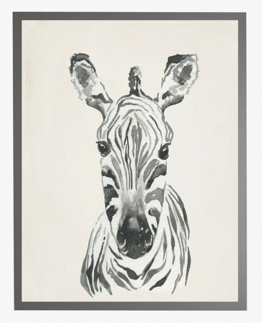 Antique Curiosities Watercolor Baby Zebra